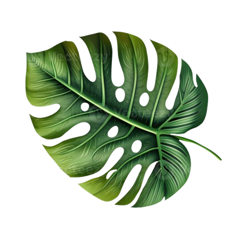 Hoja 1