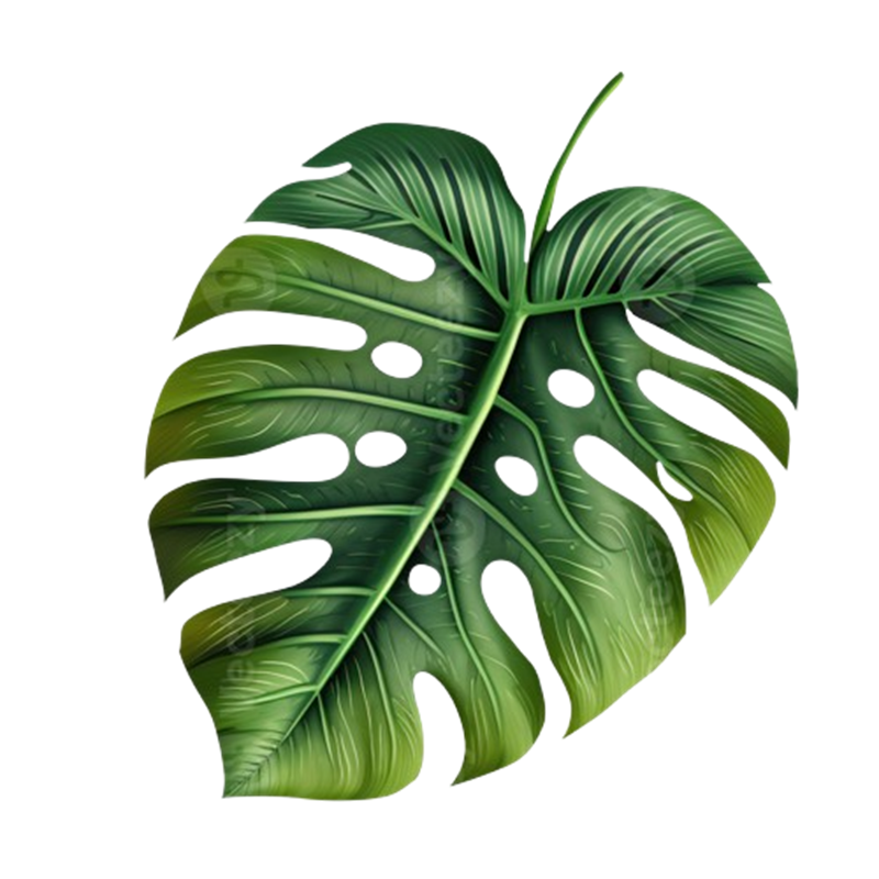 Hoja 3
